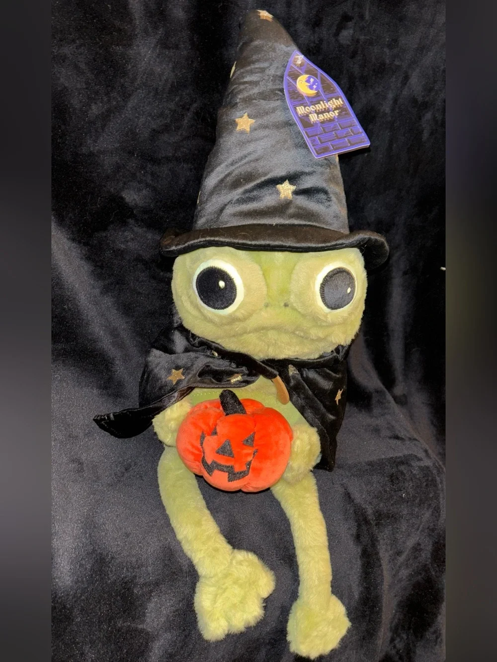 Moonlight Manor Halloween Wizard Frog Plush Pumpkin Weighted Decor NEW